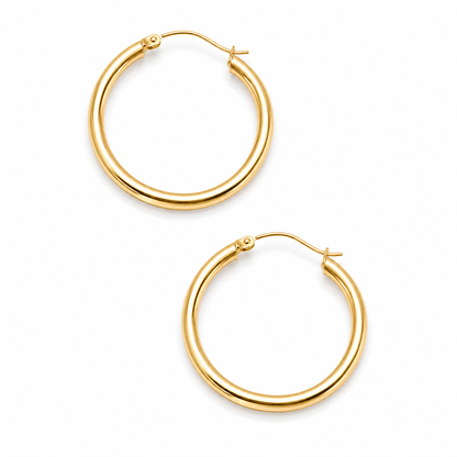 Earings - 0007