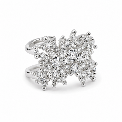 Earings - 0035