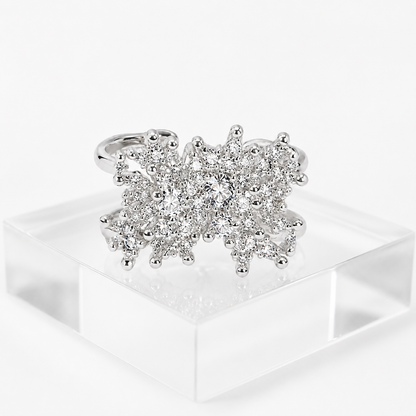 Earings - 0035