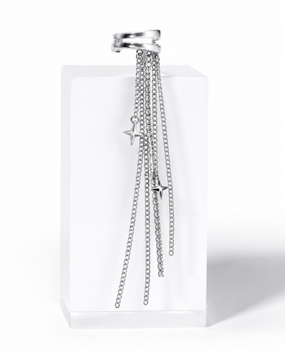 Earings - 0070