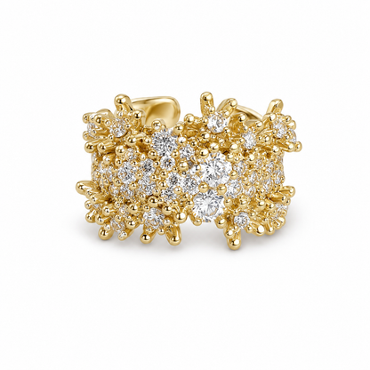 Earings - 0102