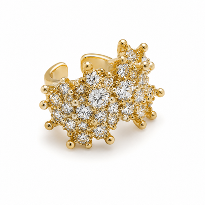 Earings - 0102