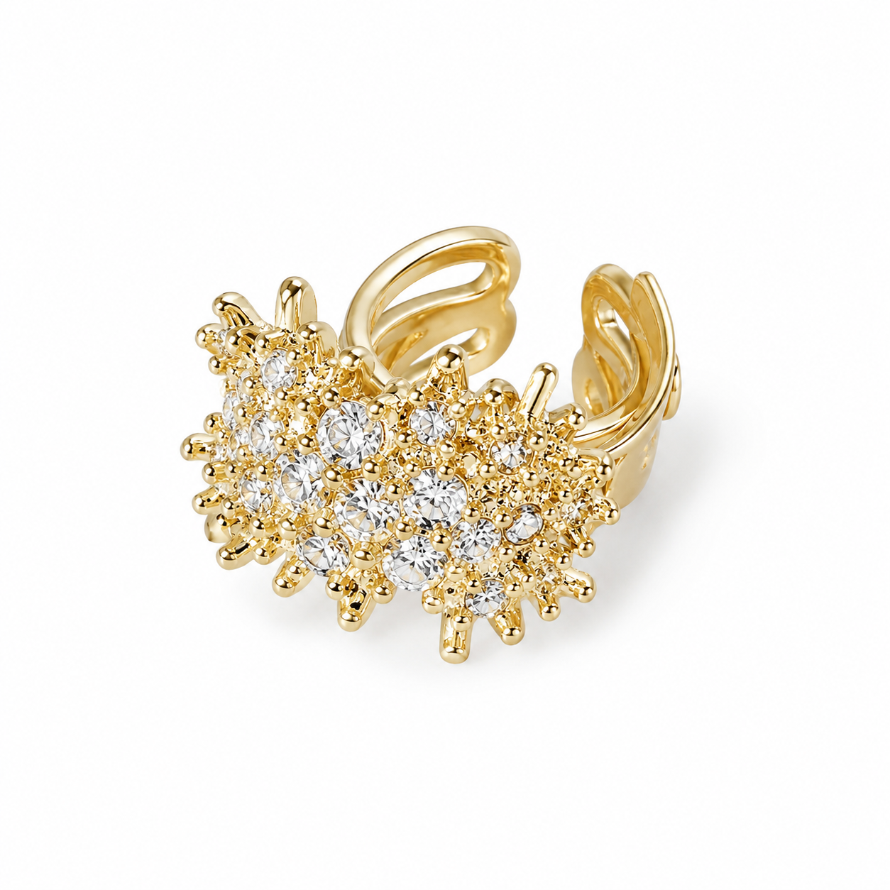 Earings - 0102