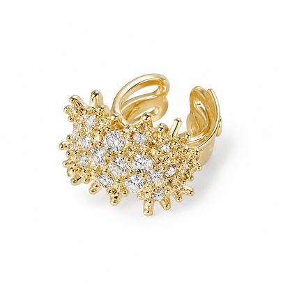 Earings - 0102